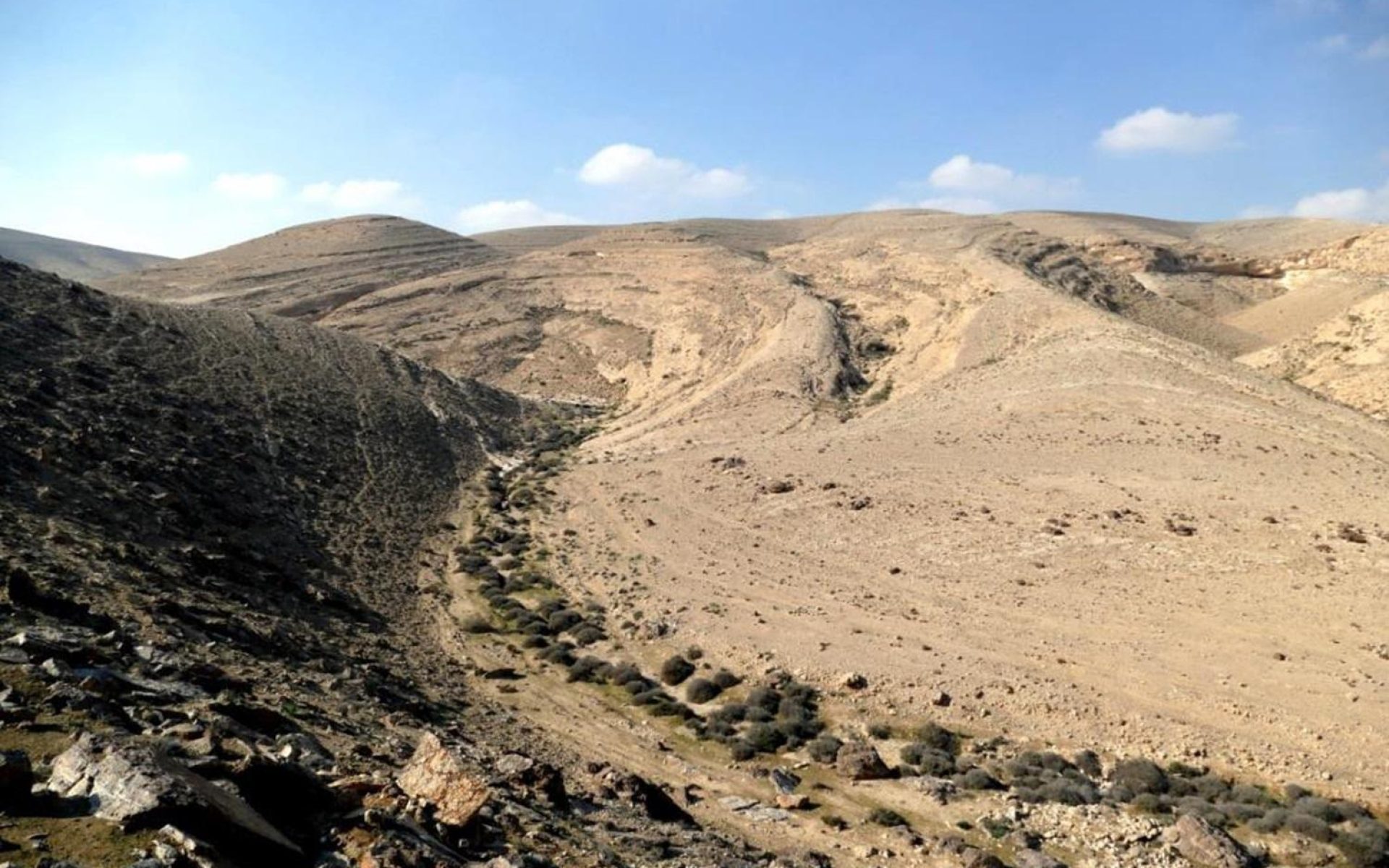 שטח התוכנית לשכונת רותם בדימונה (צילום: החברה להגנת הטבע)