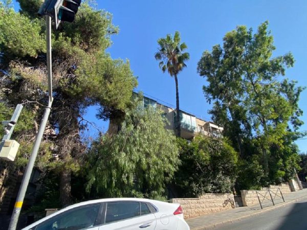 שכונת רחביה בירושלים (צילום: אלכסנדר כץ)