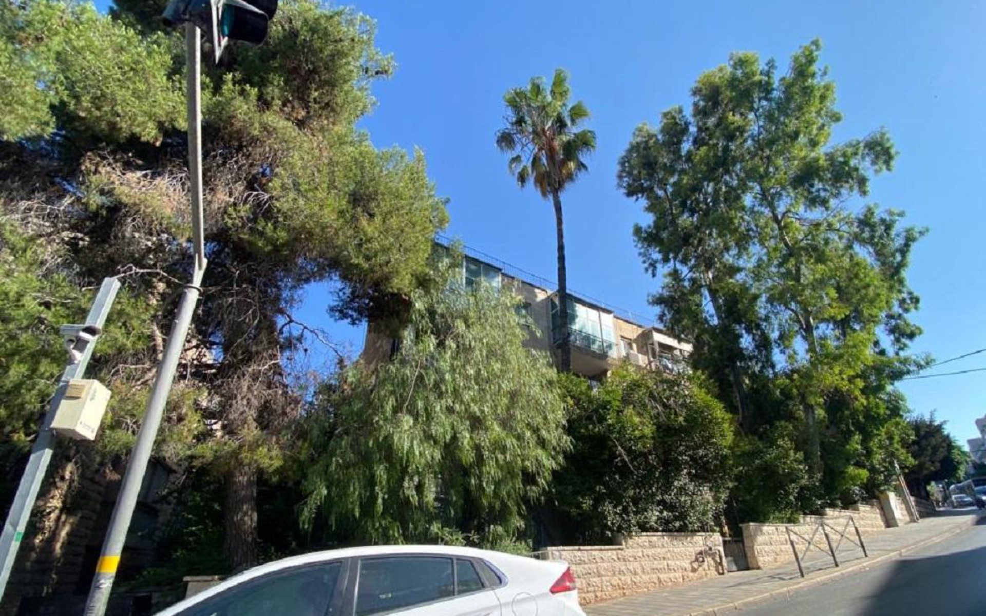 שכונת רחביה בירושלים (צילום: אלכסנדר כץ)