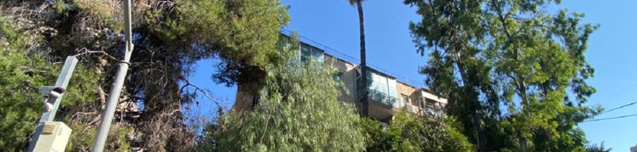 שכונת רחביה בירושלים (צילום: אלכסנדר כץ)
